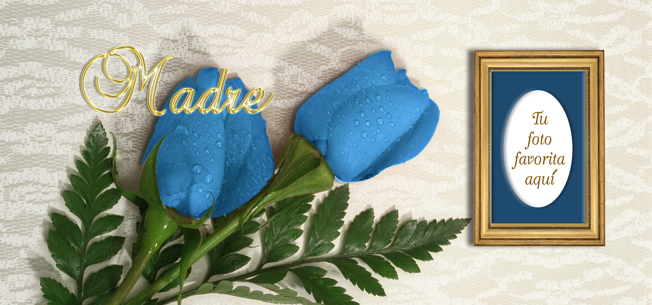 2 Roses Blue Gold Madre (Spanish)